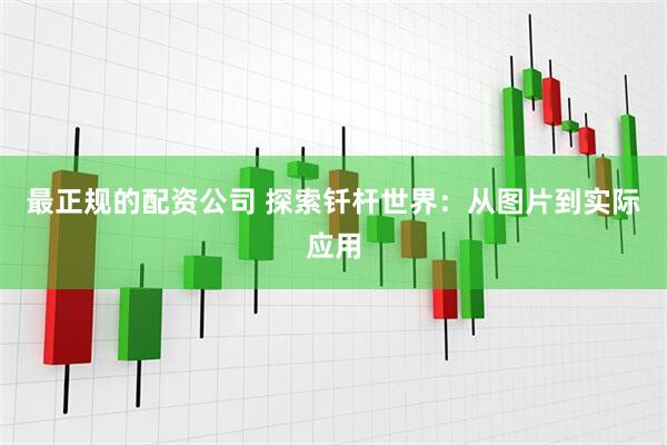 最正规的配资公司 探索钎杆世界：从图片到实际应用