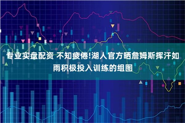 专业实盘配资 不知疲倦!湖人官方晒詹姆斯挥汗如雨积极投入训练的组图