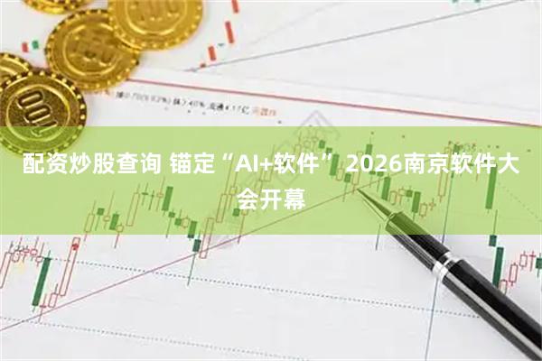 配资炒股查询 锚定“AI+软件” 2026南京软件大会开幕