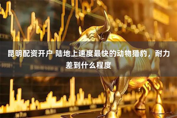 昆明配资开户 陆地上速度最快的动物猎豹，耐力差到什么程度